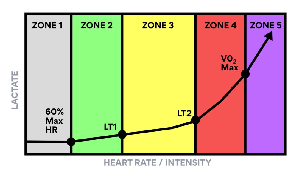 Unlocking Your Potential: A Deep Dive into LT1 and LT2 Training in Triathlon